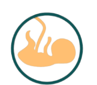 Embryo Donation/Adopt