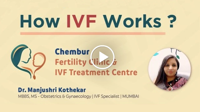 How IVF Works